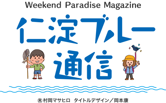 仁淀ブルー通信