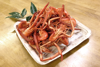 手長エビは唐揚げが主な食べ方だが、塩茹でも美味しい。