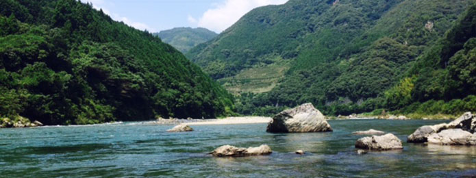 仁淀川の夏の風物詩、「夏鮎」を目と胃袋で楽しみませんか