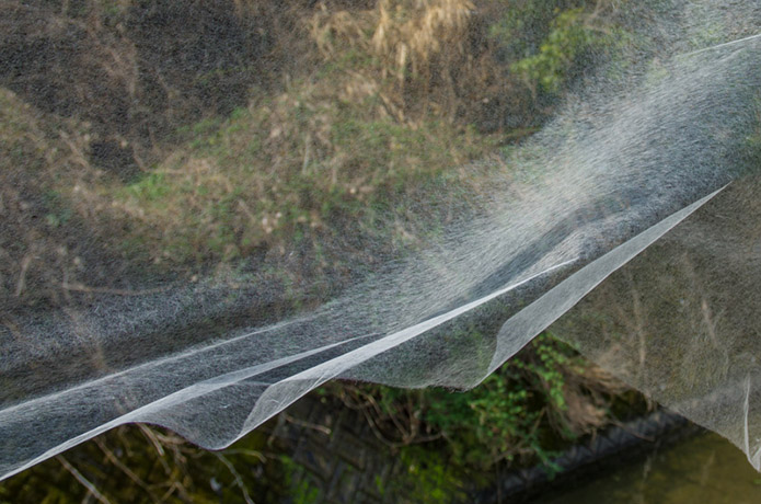 仁淀川に面した村で、世界一の和紙に出会った！