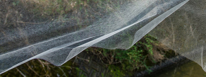 仁淀川に面した村で、世界一の和紙に出会った！