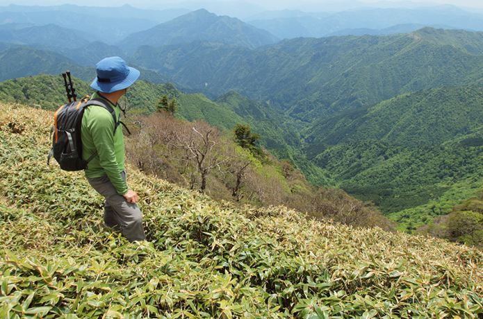 仁淀ブルーを旅する・1　「筒上山登山記」