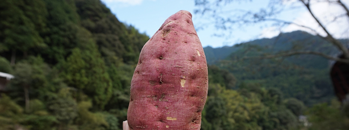 VIVA★新芋！ 今こそ食べたいお芋のお菓子