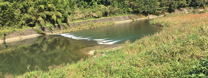 仁淀川の生物多様性は高いのか低いのか？