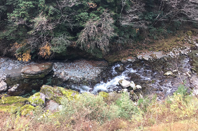11月末まで毛ばり釣りが楽しめる渓流釣り場