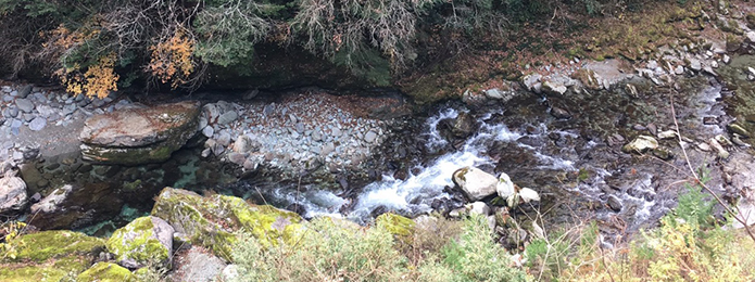 11月末まで毛ばり釣りが楽しめる渓流釣り場