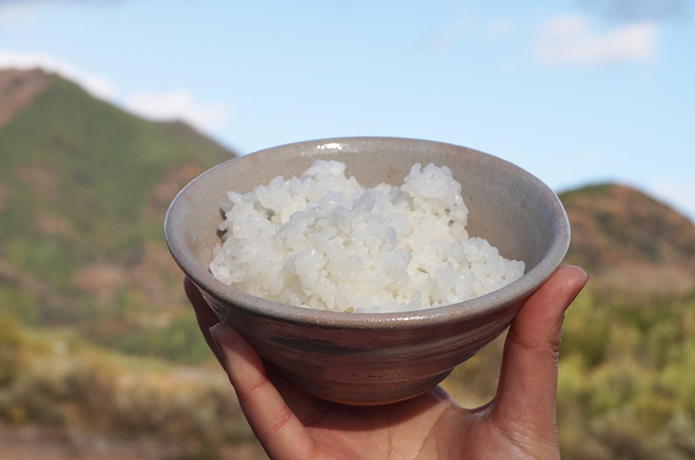 おかわり必至！ 仁淀川流域「飯の友」食べ比べレポート