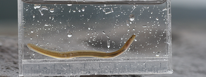 アナがあったら入りたい・・・