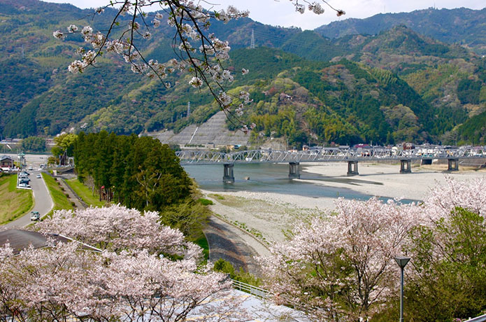 地元の人に聞きました！ 仁淀川流域・桜の名所情報2017