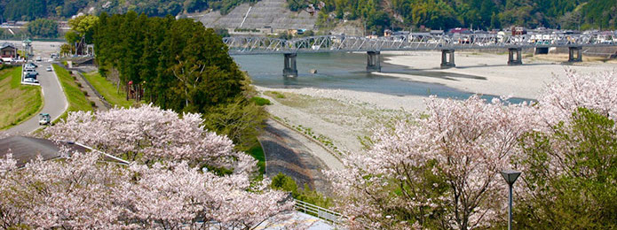 地元の人に聞きました！ 仁淀川流域・桜の名所情報2017