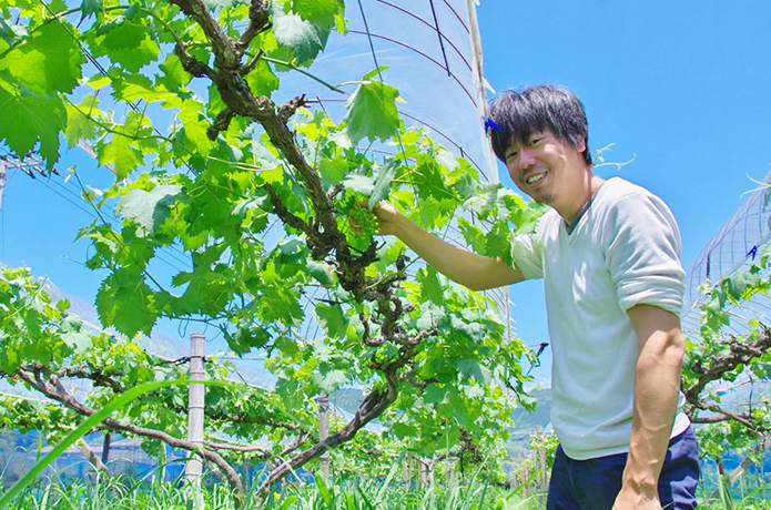 仁淀ブルーに誘われて～私の高知移住日記　「果物農家編」