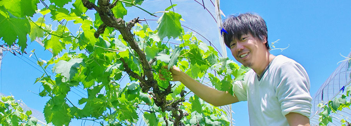 仁淀ブルーに誘われて～私の高知移住日記　「果物農家編」