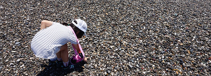 夏休みだ！　仁淀川の河口で宝さがしをしよう！