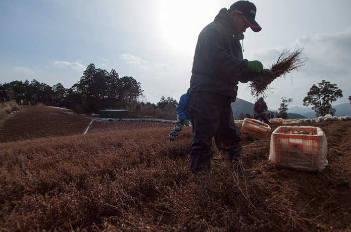 天界の集落は薬草の里だった！
