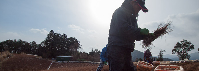天界の集落は薬草の里だった！