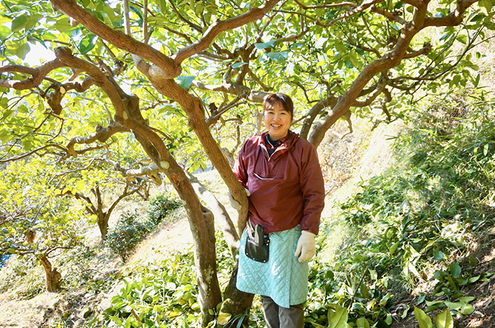 仁淀ブルーに誘われて～私の高知移住日記　『地域おこし協力隊 編』