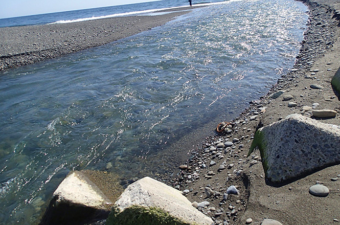 ＜川遊び人の独り言＞６　早春の贈り物～稚アユの遡上まっさかり～