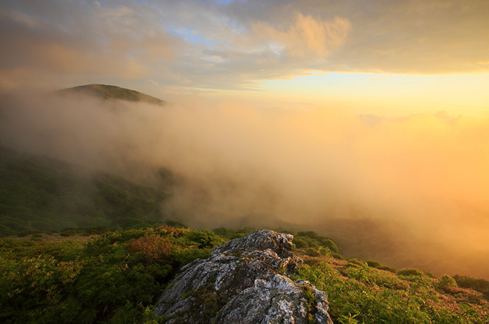 <清冽な仁淀川を生み出す源の森たち＞２　笠取山（かさとりやま）から大川嶺（おおかわみね）