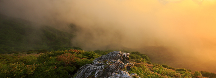 <清冽な仁淀川を生み出す源の森たち＞２　笠取山（かさとりやま）から大川嶺（おおかわみね）