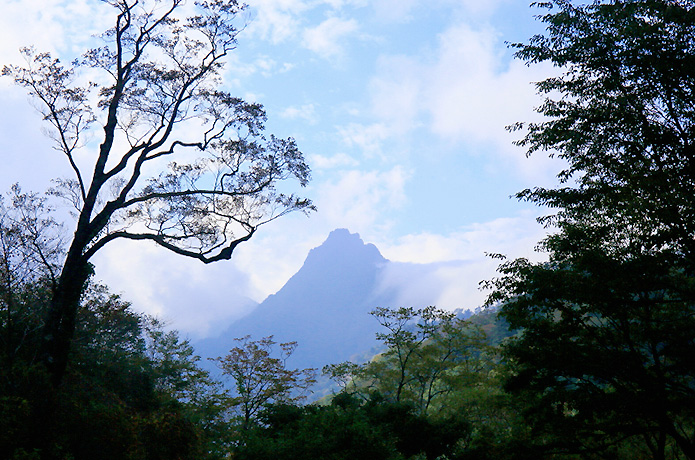 ＜清冽な仁淀川を生み出す源の森たち＞４　石鎚山（いしづちさん）