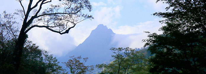 ＜清冽な仁淀川を生み出す源の森たち＞４　石鎚山（いしづちさん）