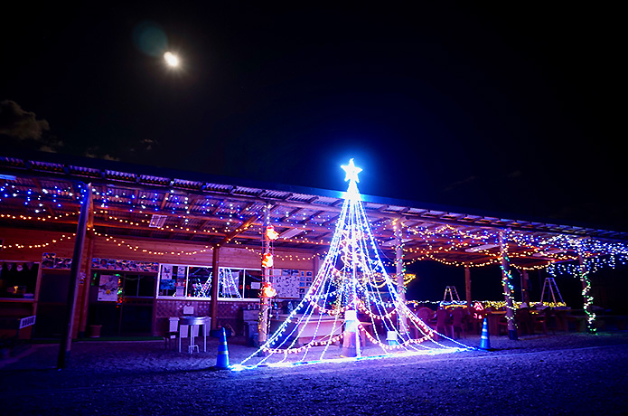 冬のお楽しみ！流域町村イルミネーションめぐり