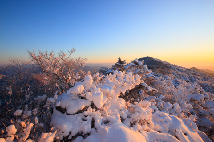＜清冽な仁淀川を生み出す源の森たち＞５　天狗の森