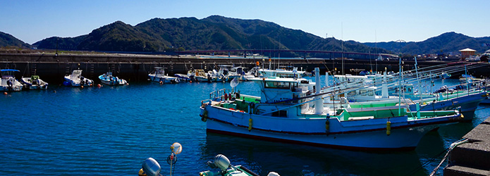 宇佐さんぽ　～海の町のおいしいものめぐり～