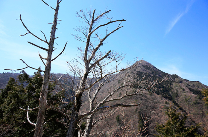 ＜清冽な仁淀川を生み出す源の森たち＞最終回　黒滝山