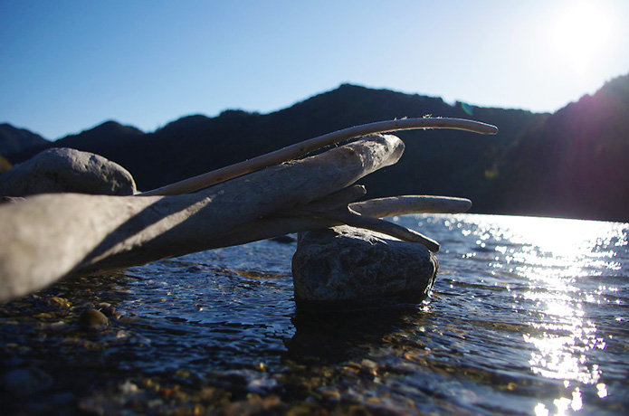 仁淀川の流木で、暮らしに自然を