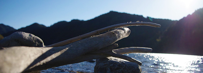 仁淀川の流木で、暮らしに自然を
