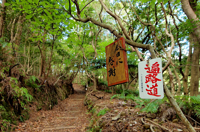 高知の自然に出合う！プチ遍路はいかが？