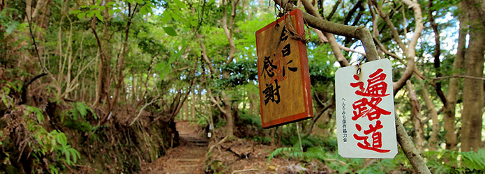 高知の自然に出合う！プチ遍路はいかが？