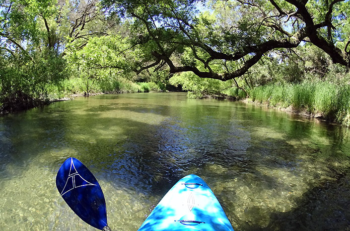 こんな表情が仁淀川にあったのか！？　秘境感満点の水路を行く