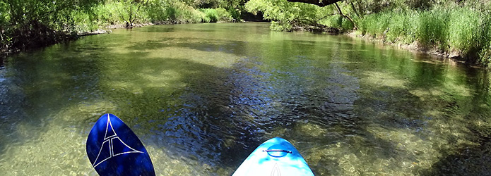 こんな表情が仁淀川にあったのか！？　秘境感満点の水路を行く