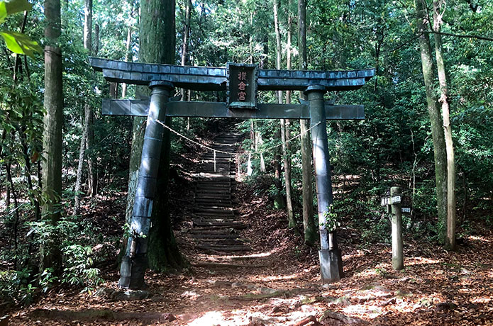 野鳥写真家・和田剛一さんと横倉山に野鳥のコンサートを聞きに行く