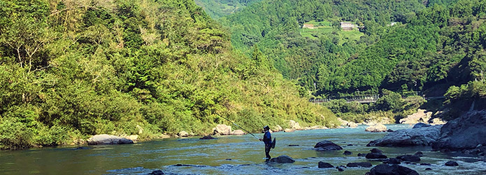シーズン終了直前、まるで格闘技のような仁淀川本流の大アユ釣りの現場に密着！