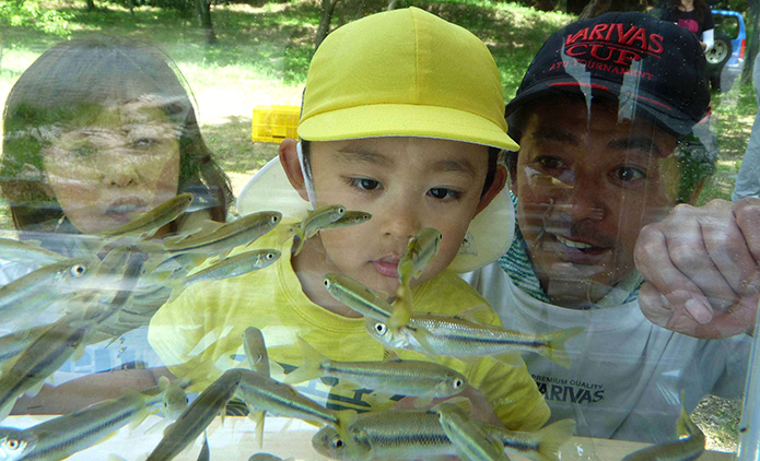仁淀川移動水族館、採集から展示まで驚異の舞台裏を覗いてみました