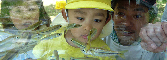 仁淀川移動水族館、採集から展示まで驚異の舞台裏を覗いてみました