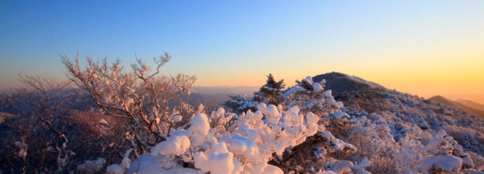 【アンコール記事】＜清冽な仁淀川を生み出す源の森たち＞５　天狗の森（2019.01.18配信）