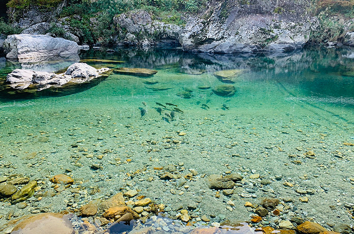 ＜高校生通信員スペシャル＞ 食べて、見て、遊ぶ！　仁淀川をまるごと楽しんじゃう5つのプラン
