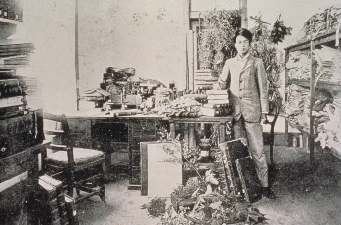 「牧野富太郎が見た風景」 第3回　博士命名の秋の花々を愛でて