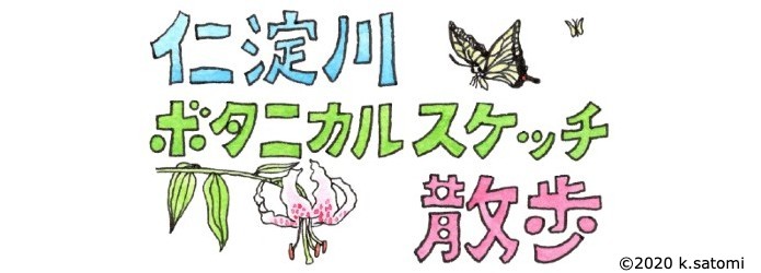 ＜仁淀川ボタニカルスケッチ散歩＞第3回 横倉山ひとり歩き