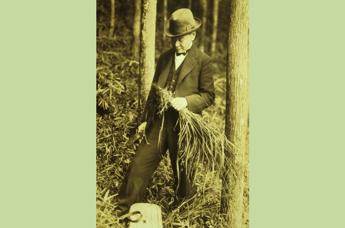 「牧野富太郎が見た風景」第４回　極寒の中に咲くバイカオウレン