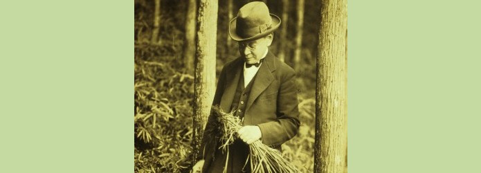 「牧野富太郎が見た風景」第４回　極寒の中に咲くバイカオウレン