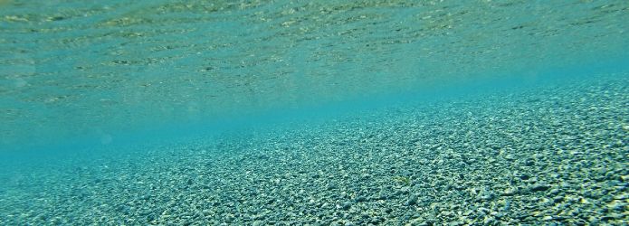 祝、3年連続水質日本一！仁淀ブルーを体感できる穴場はここ