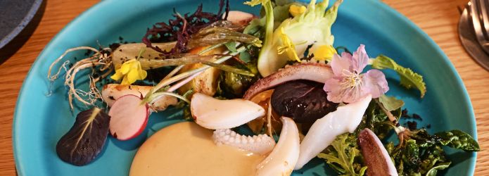 仁淀川ぐるめぐり　第4回「地元野菜の魅力をていねいに教えてくれるレストラン」