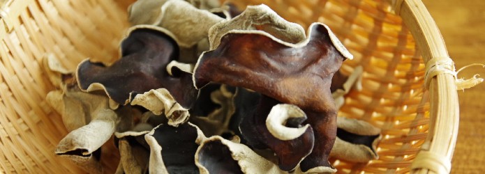 もはや高知の子どもたちのソウルフード！？　仁淀川きくらげのひみつ